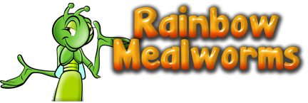 Rainbow Mealworms