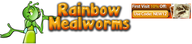 Rainbow Mealworms